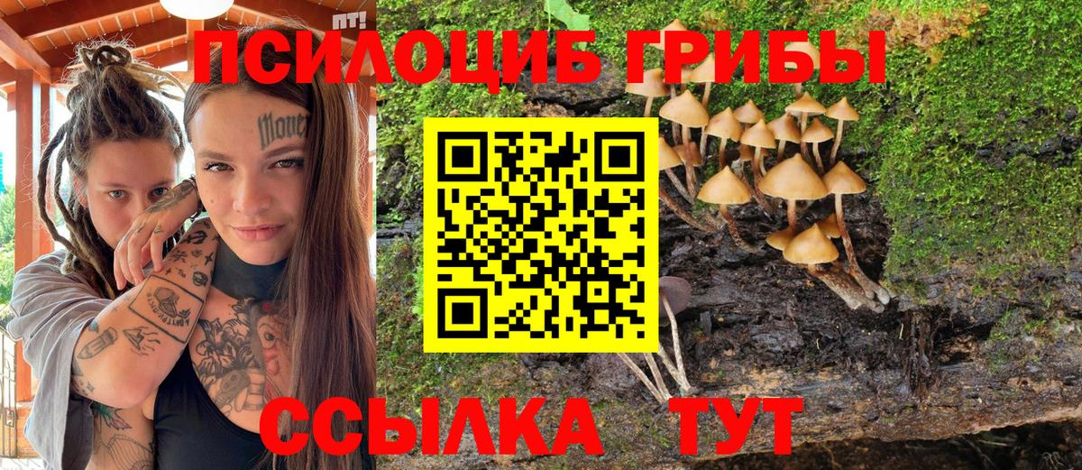 Псилоцибиновые грибы мицелий Кореновск